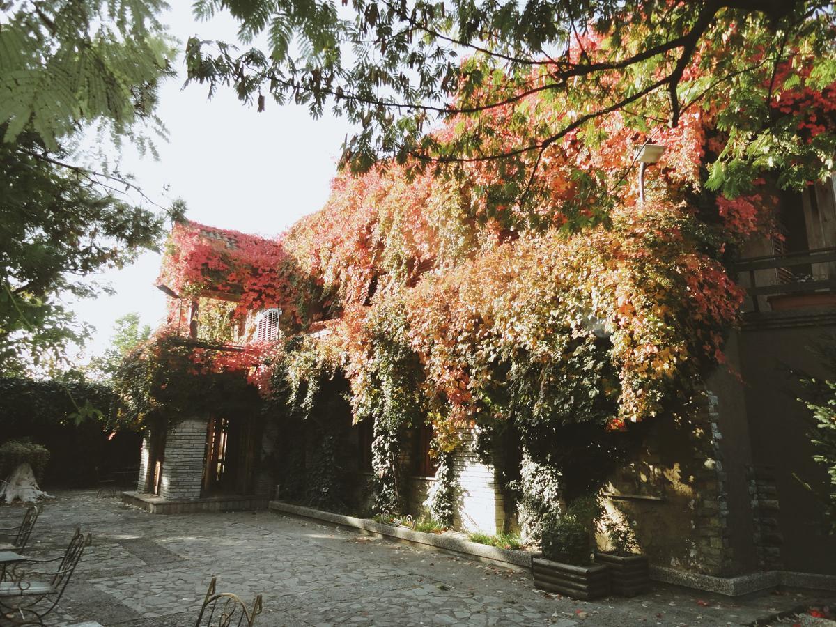 Legjenda 旅馆 Shkoder